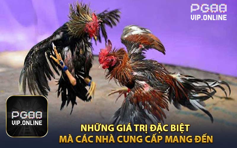 Những Giá Trị Đặc Biệt Mà Các Nhà Cung Cấp Mang Đến