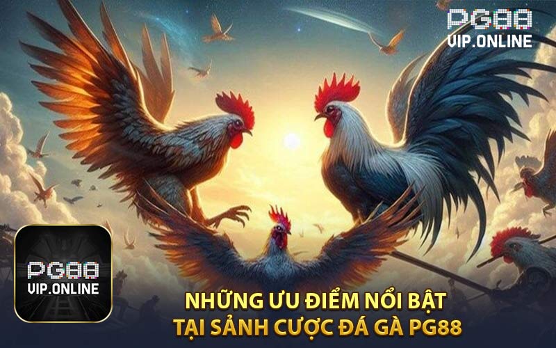 Những Ưu Điểm Nổi Bật Tại Sảnh Cược Đá Gà PG88