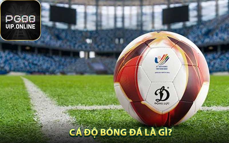 Cá độ bóng đá là gì?