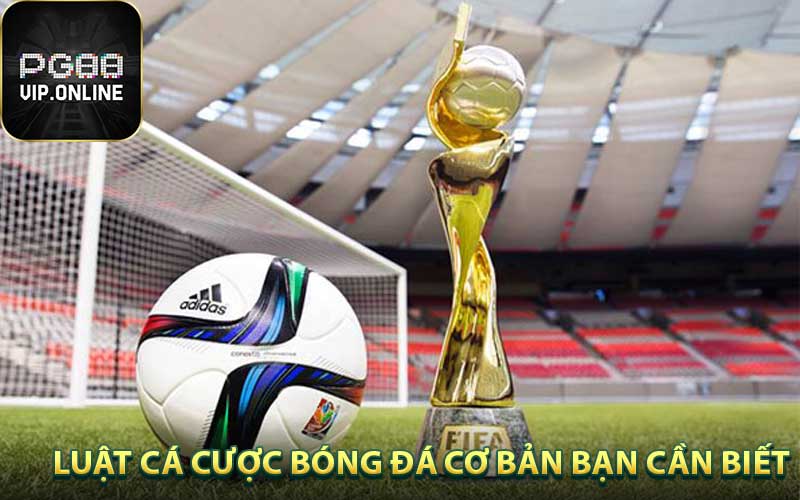 Thông tin mới nhất về luật cá độ bóng đá cơ bản bạn cần biết
